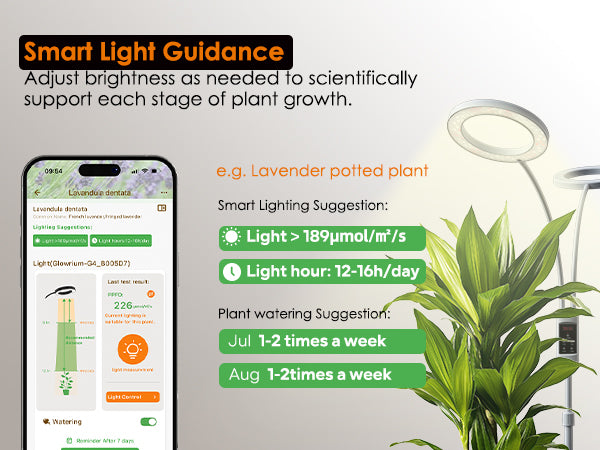 Checking scientific lighting recommendations and watering schedules on glowrium app next to houseplants