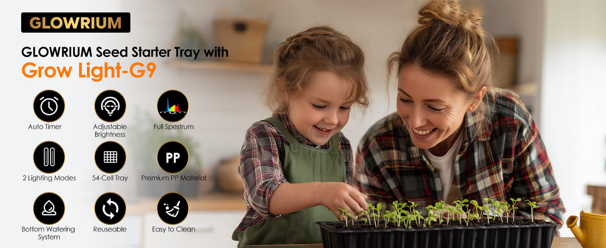 Care for plant seedlings using Glowrium G9 seed starter kit