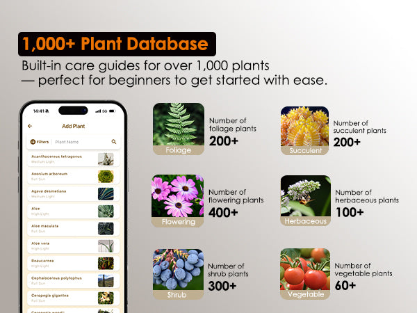 Browsing the 1000 plus digital plant database on glowrium app to find customized care guides