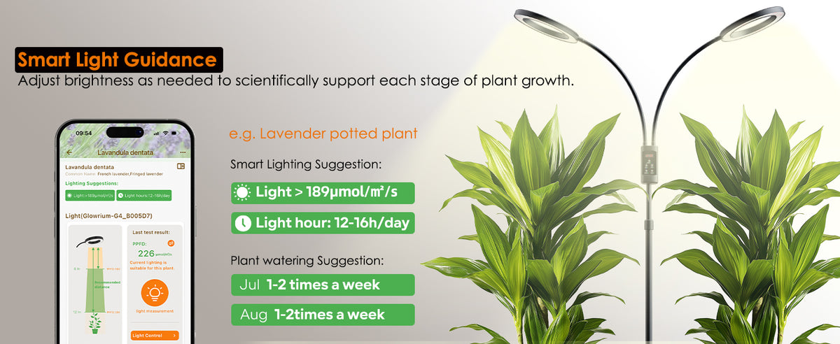 Glowrium G5 smart floor grow light adjusting PPFD brightness suggestions for indoor plants