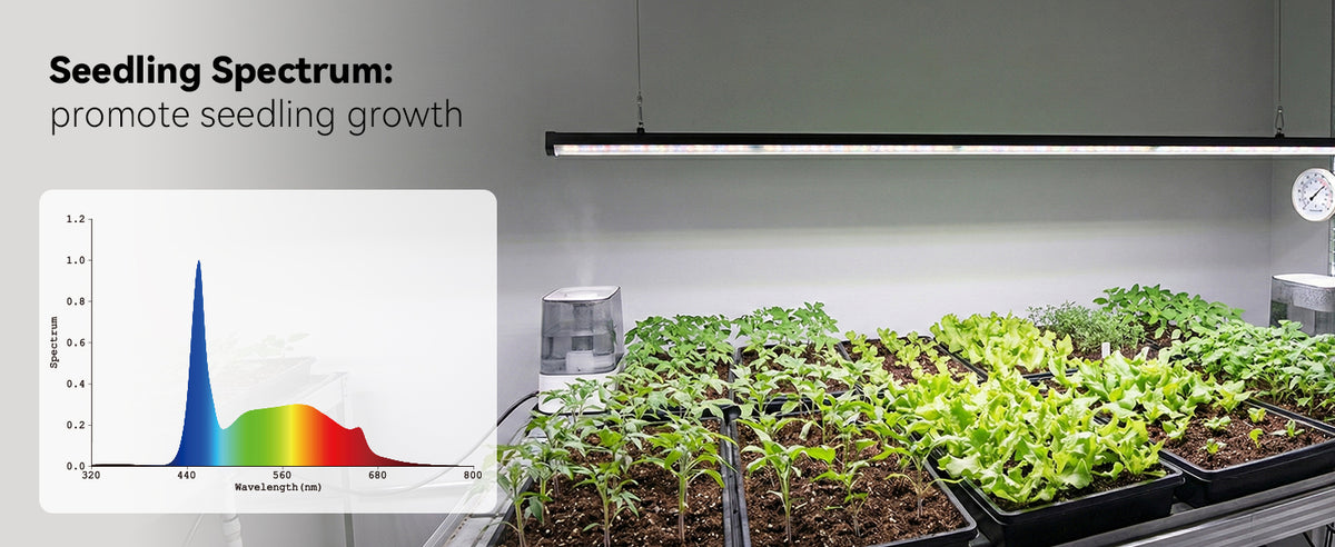 Glowrium G3 seedling spectrum graph featuring high blue light for strong root development