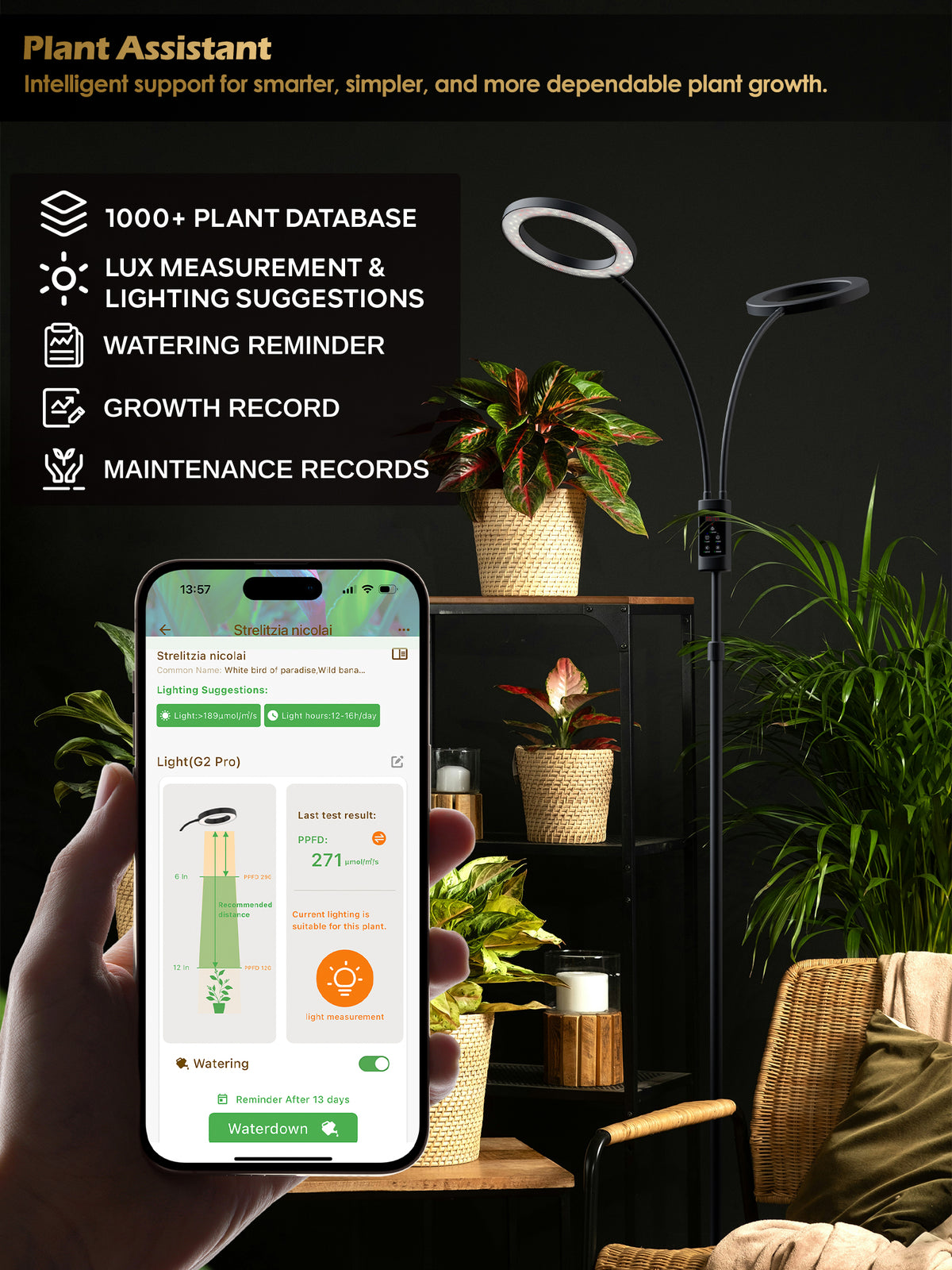Tracking indoor plant growth and measuring PPFD using the Glowrium smart app assistant feature