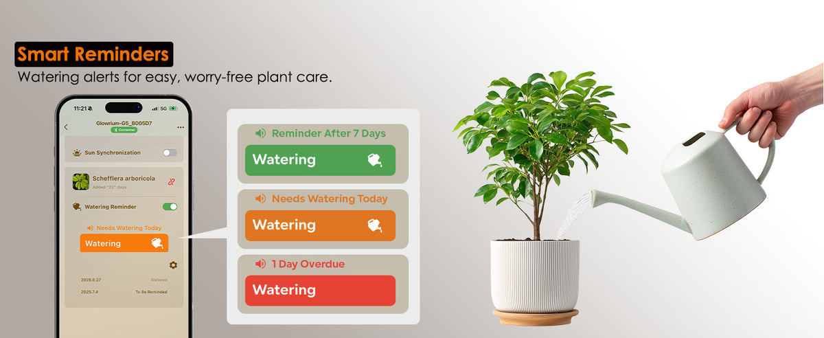 Glowrium app watering alerts and schedules for easy worry free indoor plant care