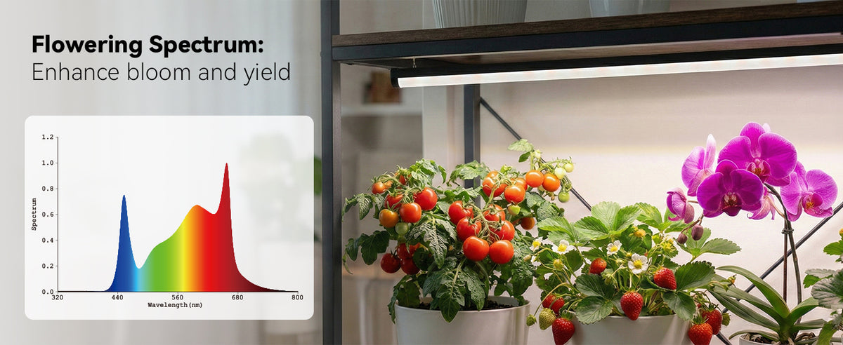Glowrium G3 flowering spectrum chart with red light enhancement for indoor bloom and yield