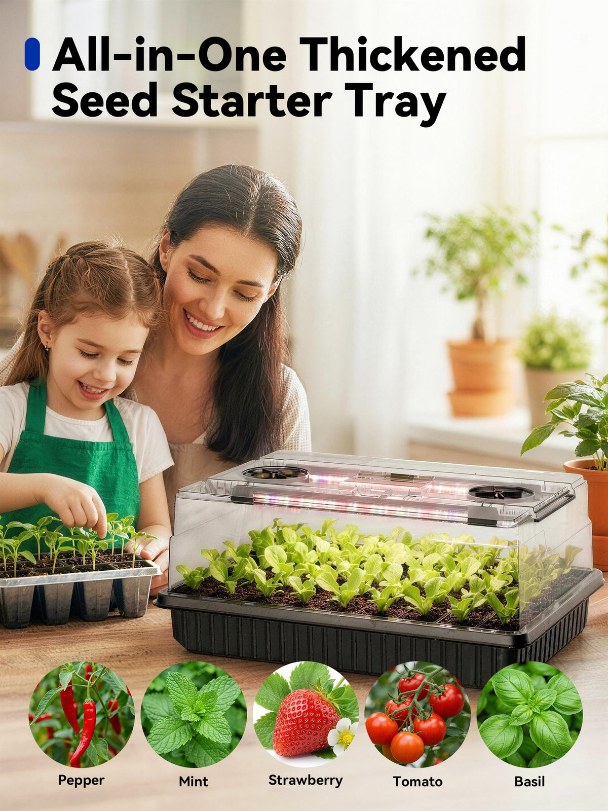 Fresh plant such as Pepper, Mint, Strawberry,Tomato,and Basil seedlings in the Glowrium G9 seed starter kit.