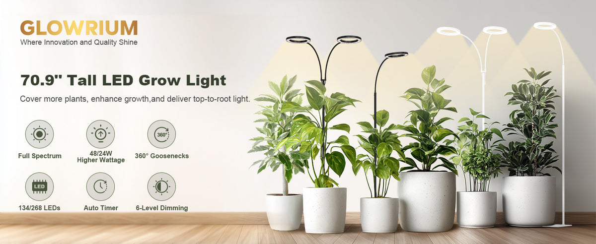 Glowrium G2 Pro full spectrum LED floor grow light with auto timer
