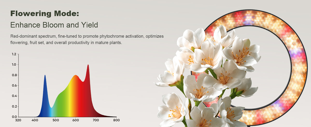Flowering mode spectrum of Glowrium G2 Pro LED grow light to enhance bloom