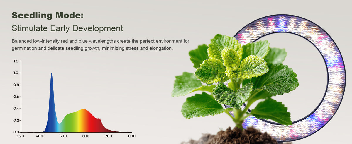 Seedling mode spectrum of Glowrium G2 Pro LED light for early plant development