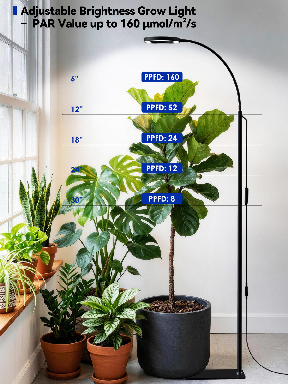 Glowrium G2 single head 20W floor grow light lighting chart displaying PAR value up to 160 umol/m²/s at 6 inches