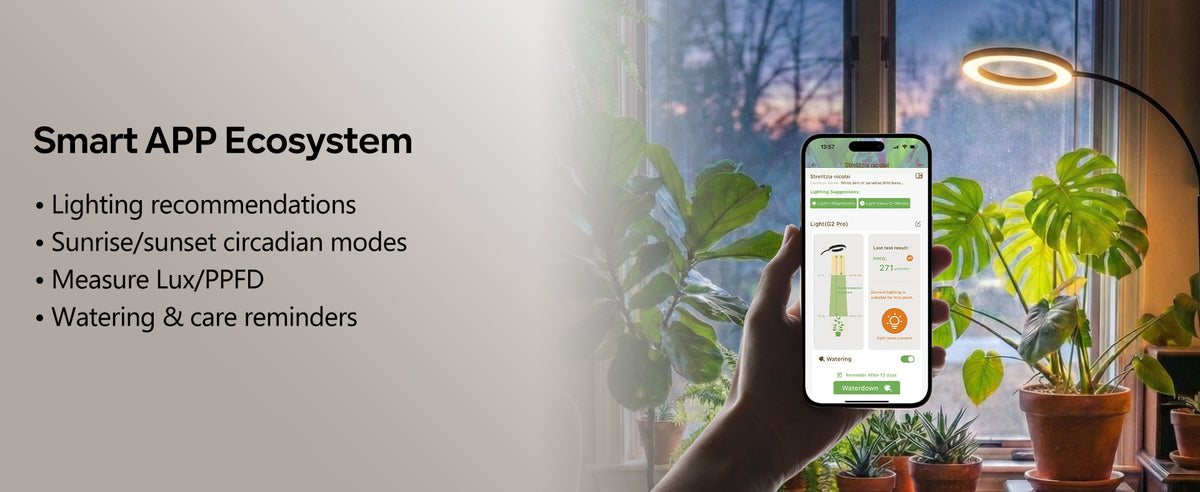 Glowrium G5 smart app ecosystem features listing specialized lighting recommendations, sunrise and sunset circadian modes, live Lux and PPFD light meter measurement, and watering reminders