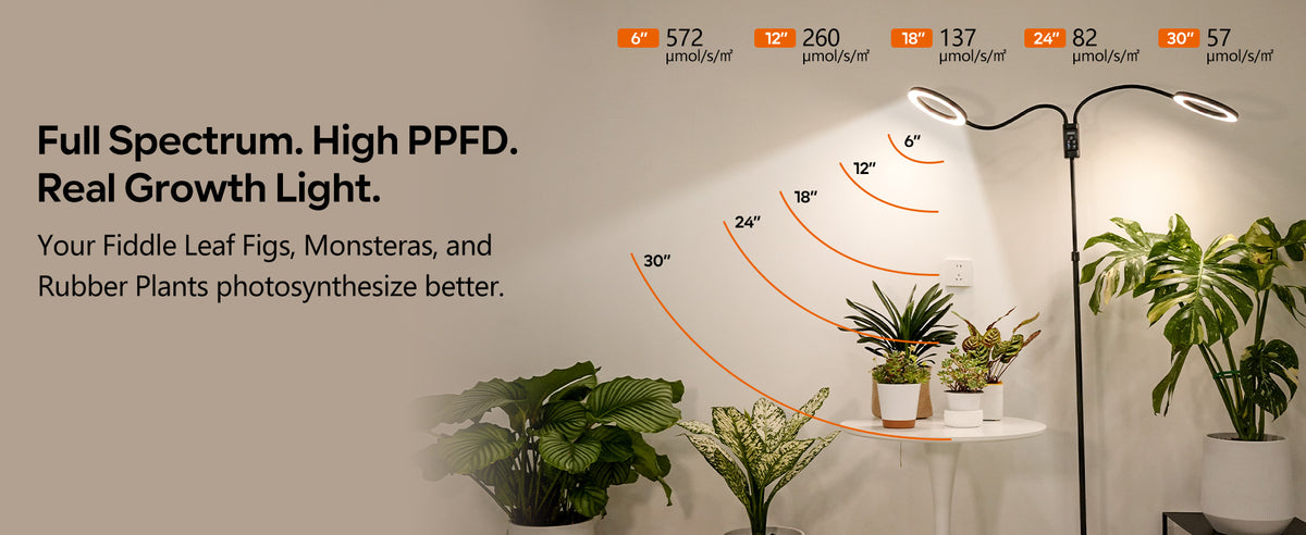 Glowrium G5 48W floor grow light PPFD measurements showing values from 572 down to 57 micromoles per square meter per second at heights from 6 to 30 inches
