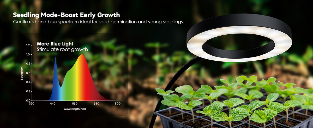 Glowrium G2 grow light seedling mode with blue spectrum chart to stimulate early root growth and germination