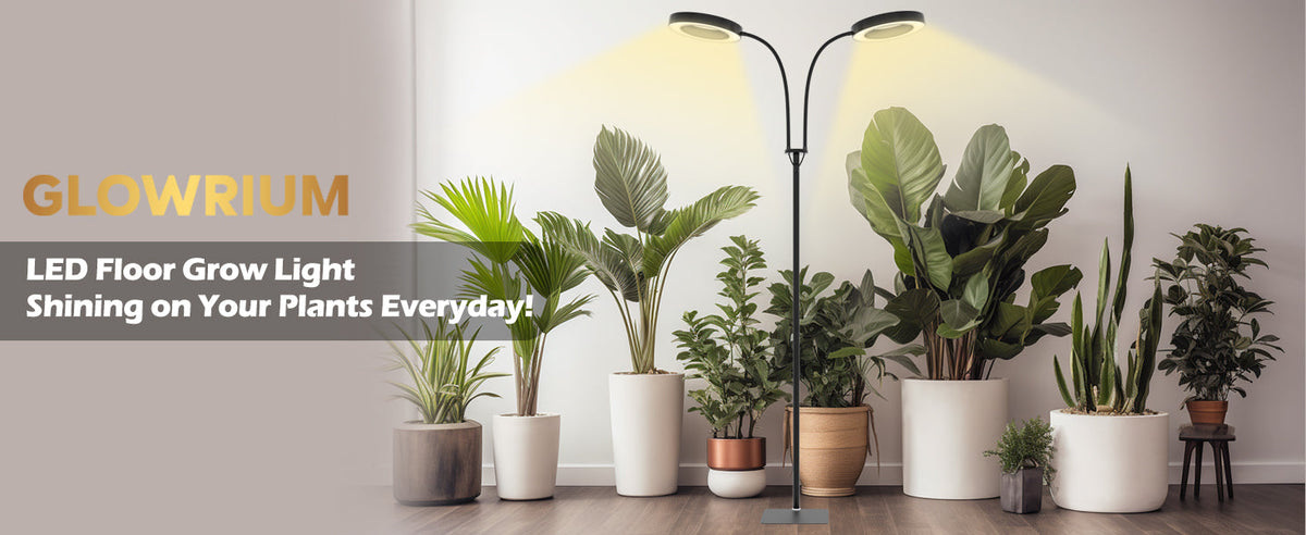 Which Indoor Plants Are Suitable for Full Spectrum Grow Lights?