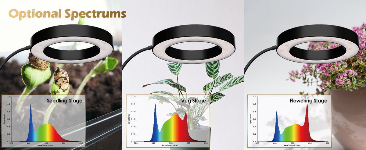 Full Spectrum Grow Lights: Unlocking the Secret to Plant Growth with 3 Light Modes