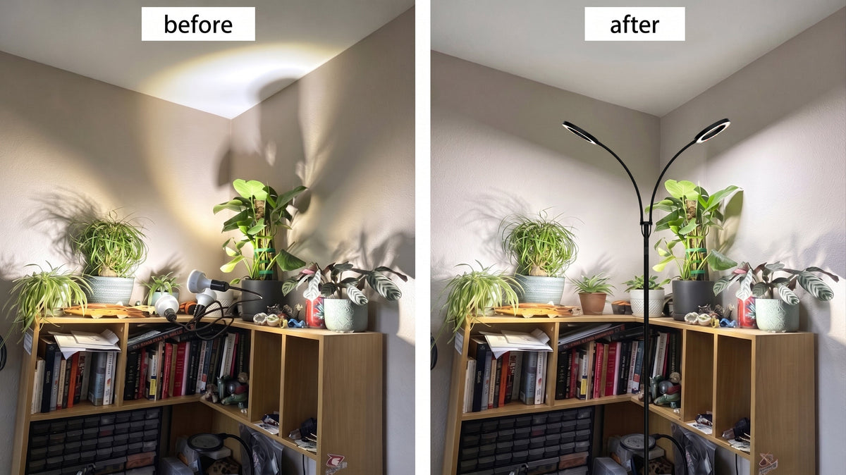 Why are more and more people giving up on pendant lights and opting for floor-standing plant lights instead?