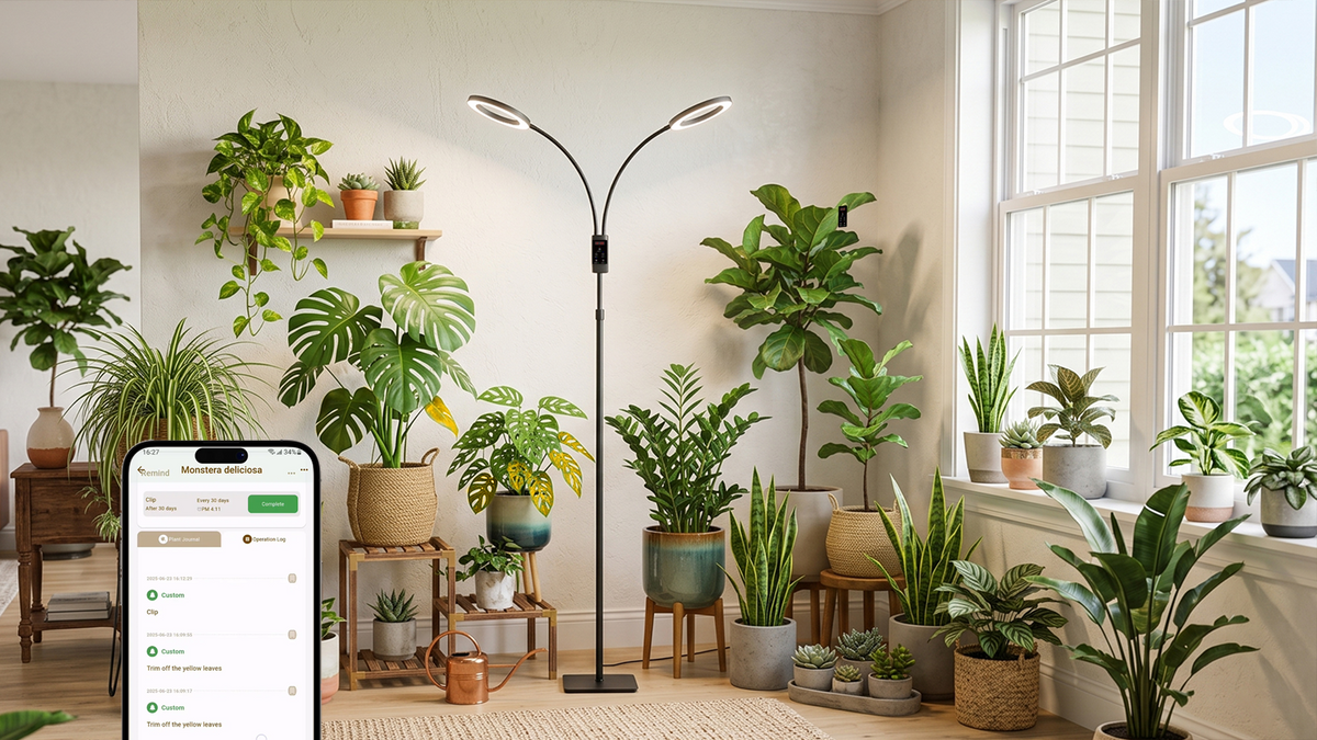 Are Yellow Leaves Always a Sign of Underwatering? A Complete Guide to Diagnosing Yellow Leaves