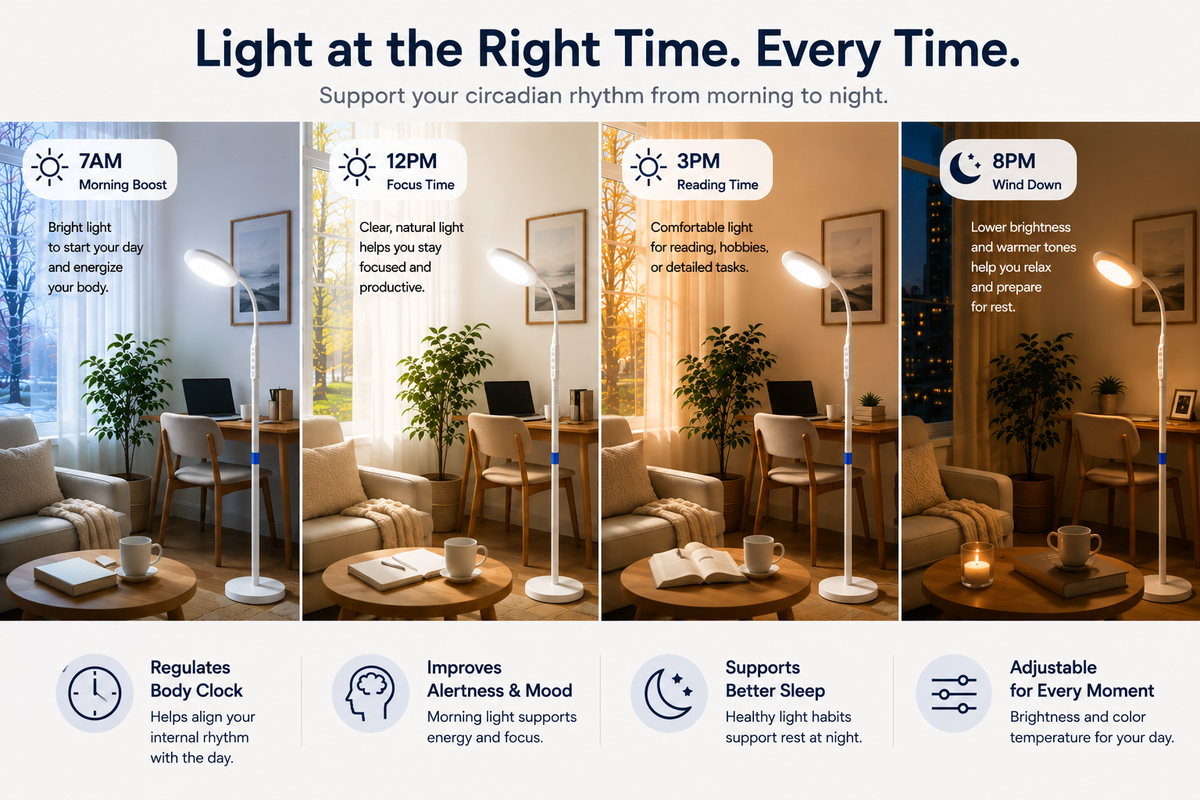 Morning Light and Your Circadian Rhythm: Why Timing Matters