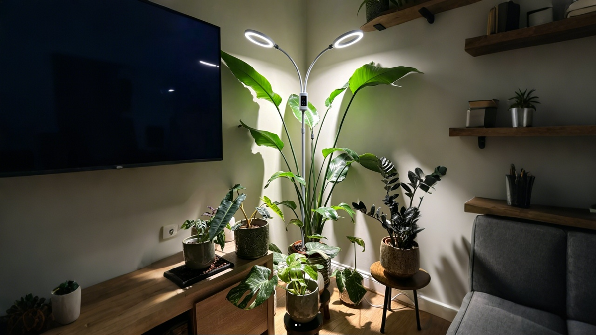 New grow light making a big difference to plant corner