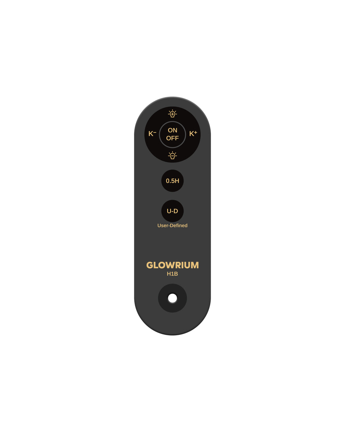 H1B Stehlampe – Fernbedienung