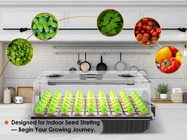 Indoor seedling cultivation designed with the Glowrium G9 seed starter kit and grow lights