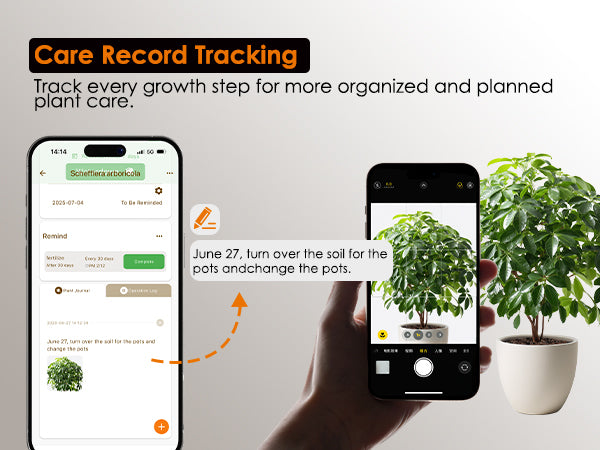 Taking photos of a potted plant with a smartphone to track growth steps and logs with GLOWRIUM APP