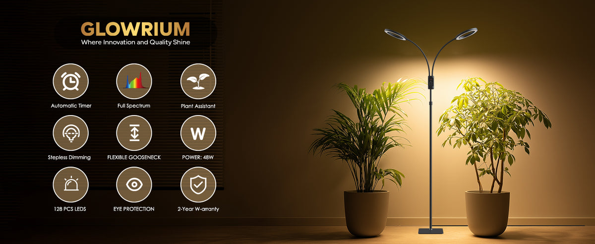 Glowrium G5 smart LED floor grow light with automatic timer and 9 features for indoor plants