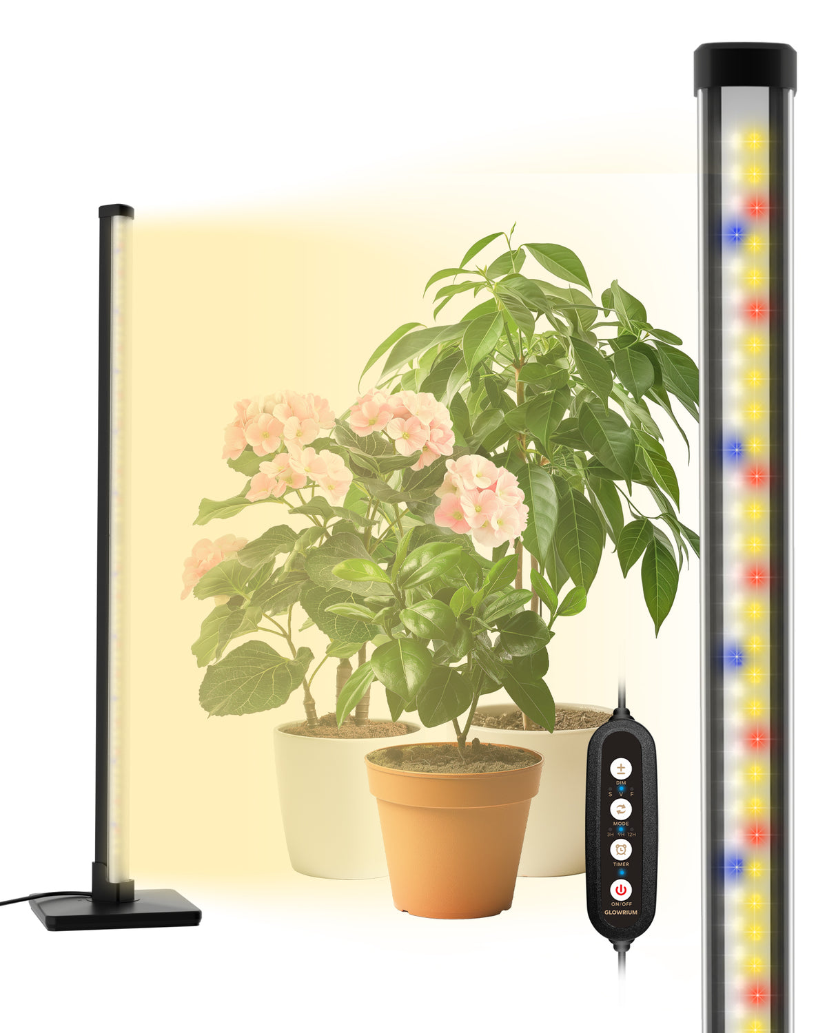 GLOWRIUM Vollspektrum-Pflanzenwachstumslampen 20W (76 cm) zum Aufhängen und Aufstellen, automatischer Timer, große Abdeckung für Zimmerpflanzen-G3