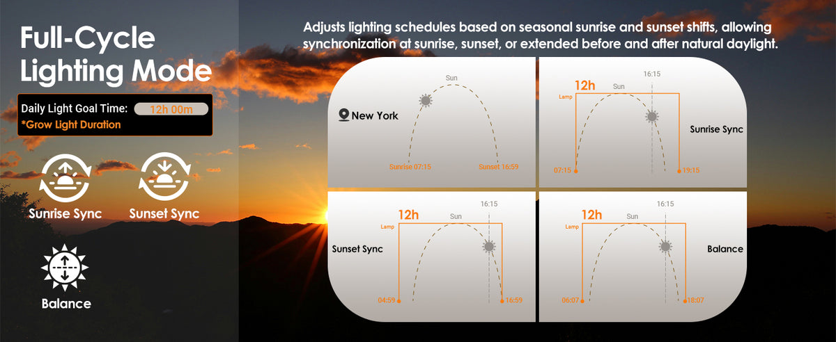Glowrium grow light full cycle mode graphics outlining Sunrise Sync, Sunset Sync, and Balance
