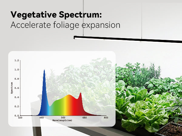 Glowrium G3 full spectrum light for indoor herbs, lettuce, and leafy greens