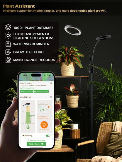 Tracking indoor plant growth and measuring PPFD using the Glowrium smart app assistant feature