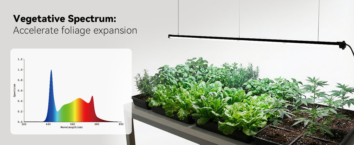 Glowrium G3 vegetative spectrum distribution for leaf expansion and dense foliage growth