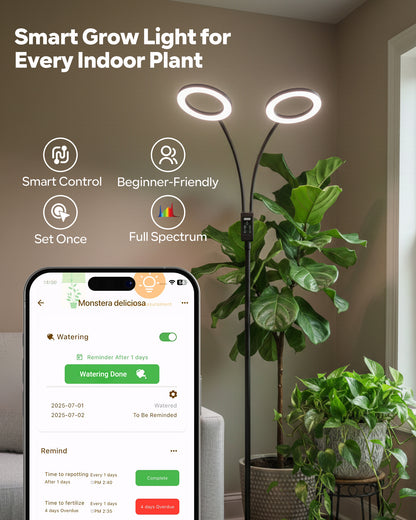 Glowrium G5 48W smart full spectrum LED floor grow light with dual ring heads illuminating indoor fiddle leaf fig and pothos plants