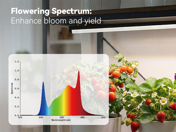 Glowrium G3 grow light spectrum for flowering tomatoes, strawberries, and orchids