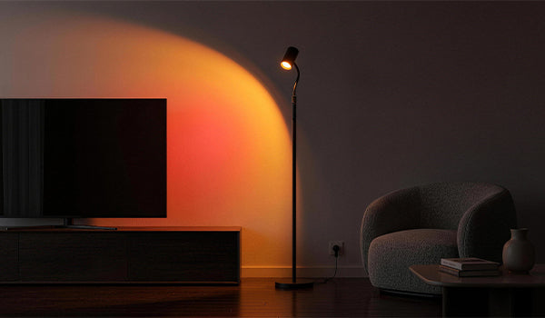 Next to the TV / Media Console