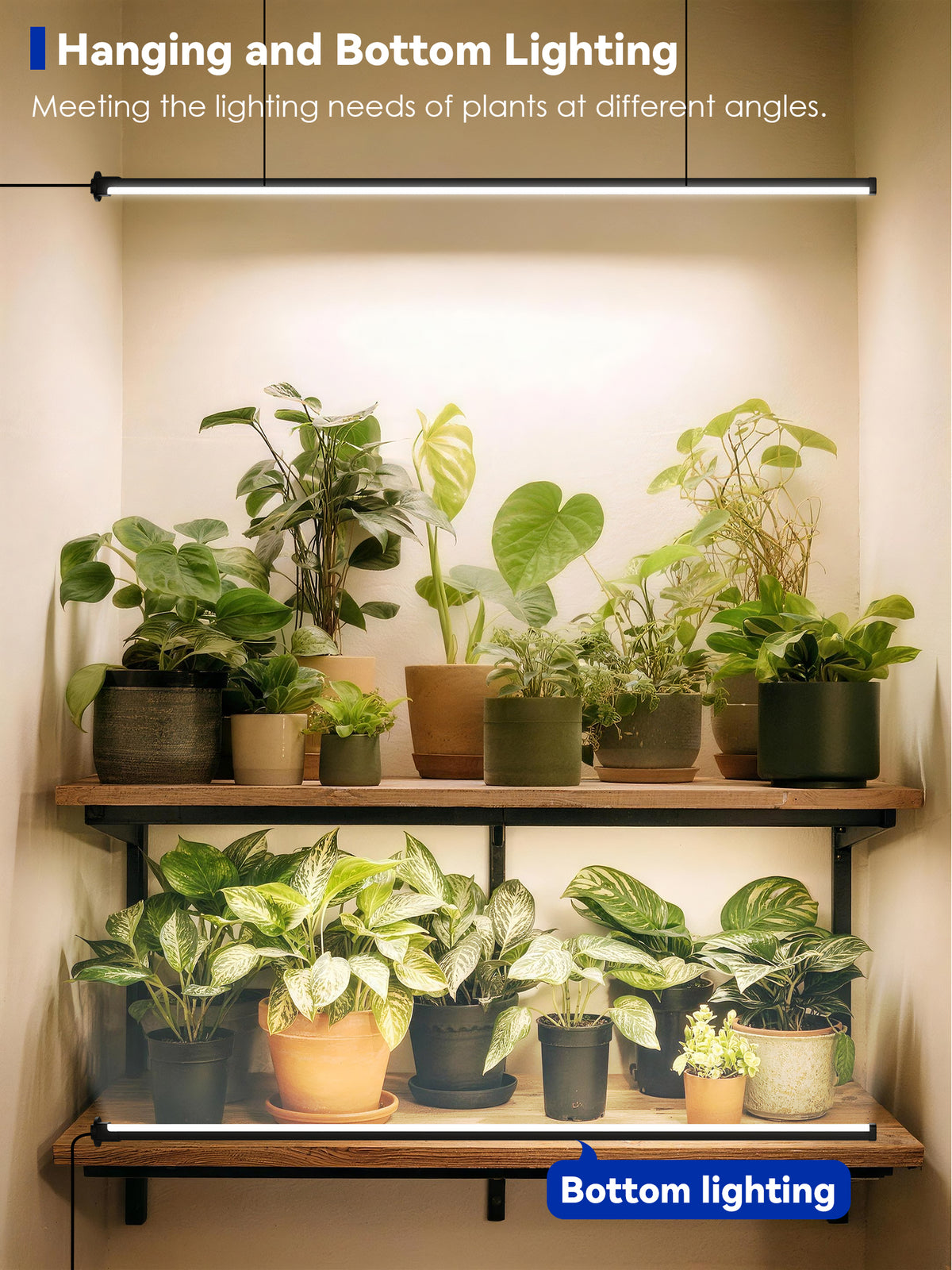 Glowrium G3 LED grow light installed for flexible hanging and bottom shelf lighting