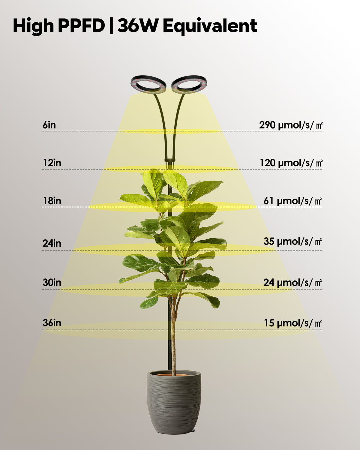 High PPFD measurements and 36W wattage specifications for GLOWRIUM G2 full spectrum plant light