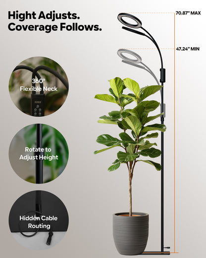 Glowrium G5 adjustable floor grow light extending from 47.24 to 70.87 inches with 360-degree flexible gooseneck and hidden cable routing over a fiddle leaf fig