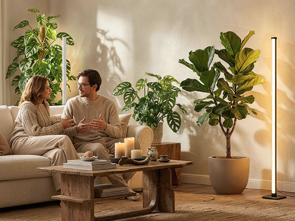 Warm indoor plant light next to a couch and fiddle leaf fig