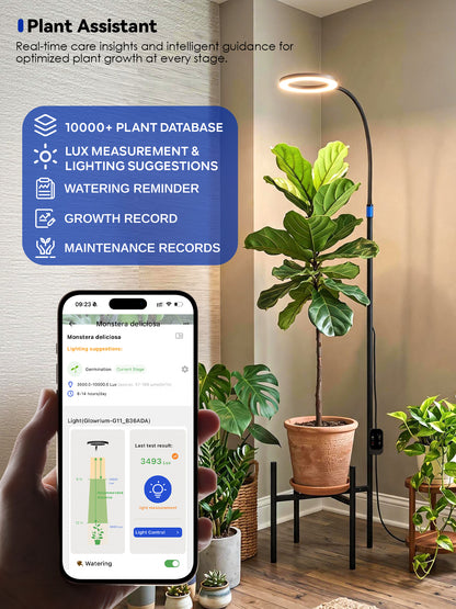GLOWRIUM® G11 Plant Stand with Grow Light, 24W Full Spectrum Indoor Plant Light, Adjustable Height Metal Plant Shelf, Dimmable Floor Growing Lamp with App &amp; Timer Control for Home Decor