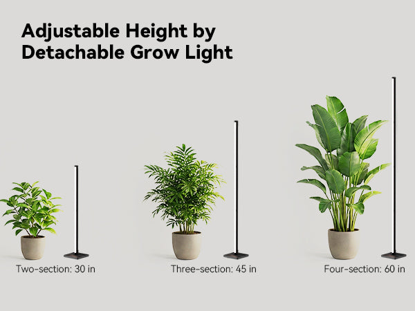 Detachable tall plant light for small, medium, and large indoor plants
