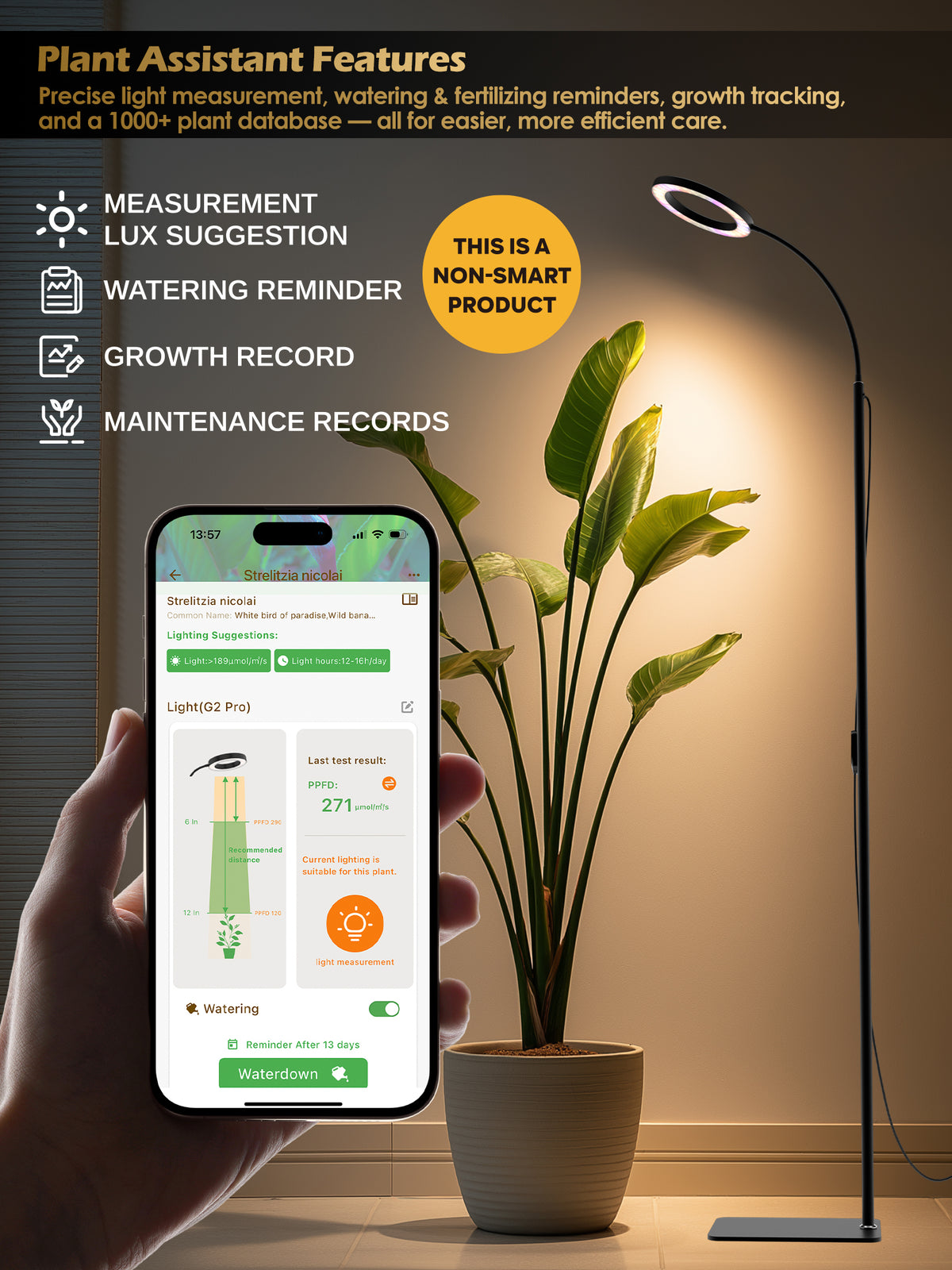 GLOWRIUM® G2 Pro 24W LED Grow Light for Indoor Plants - Full Spectrum, Adjustable Height, Timer, and Plant Assistant