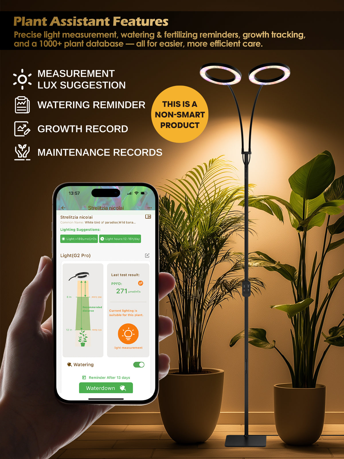 GLOWRIUM® G2 Pro 48W Vollspektrum-Pflanzenlampe - Indoor-LED-Pflanzenleuchte mit Timer, Höhenverstellung, stufenlosem Dimmen