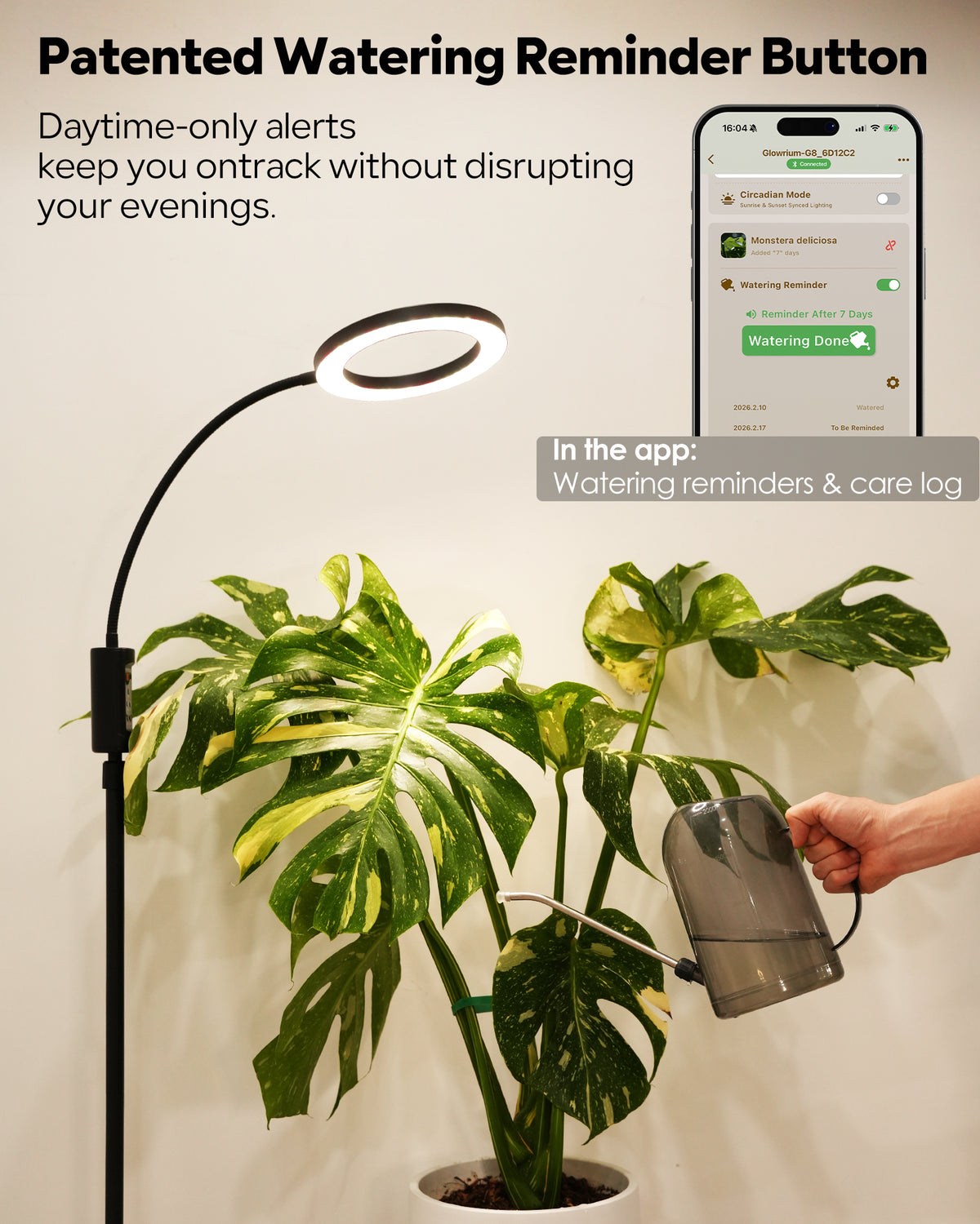 Glowrium G5 LED floor grow light with daytime-only watering reminder feature while caring for a variegated monstera plant