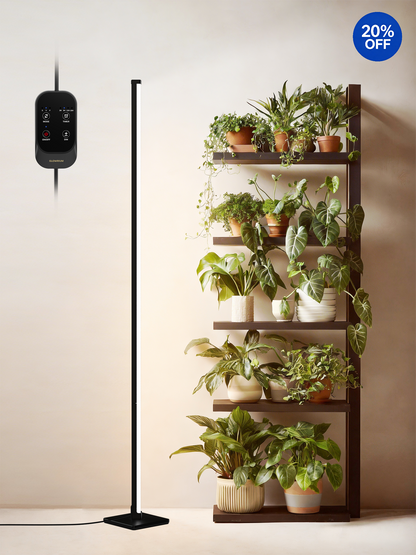 GLOWRIUM® G3 36W (150 cm) Pflanzenlampen – Vollspektrum, Hängend und Stehend, Zeitschaltuhr, Große Abdeckung für Zimmerpflanzen