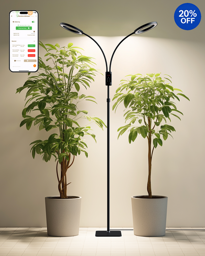 GLOWRIUM G5 | 48W Intelligente Vollspektrum-LED-Pflanzenlampe für den Bodenbereich