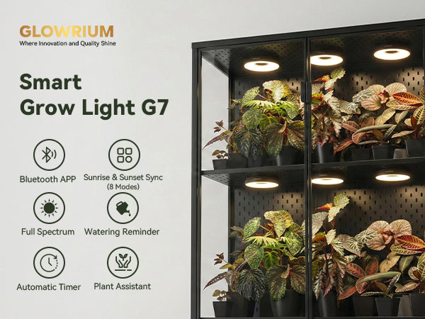 Glowrium G7 puck lights installed inside an IKEA plant cabinet greenhouse showcase houseplants