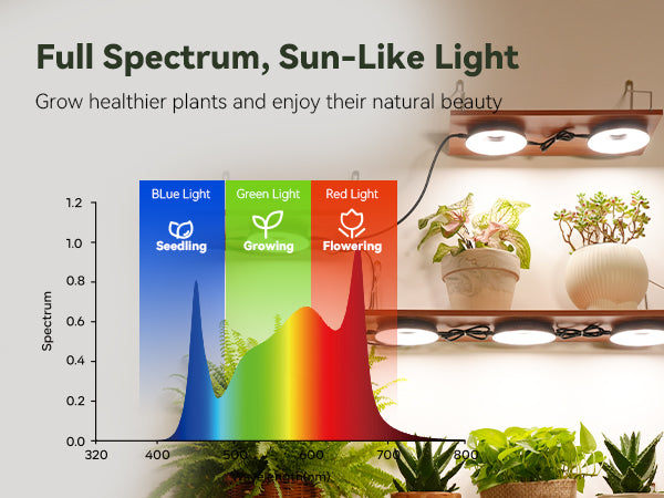 Glowrium G7 full spectrum sun-like grow light mounted under floating wooden shelves to supplement light for potted ivy and indoor succulents