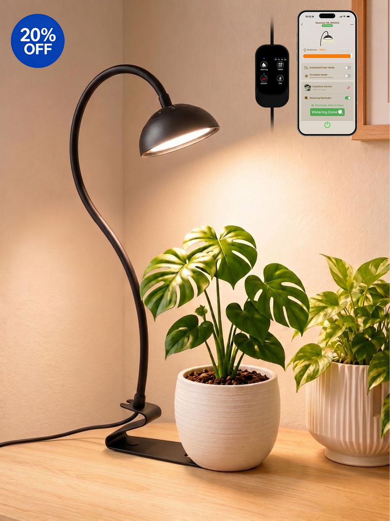 GLOWRIUM® G8 10W Smarte LED Pflanzenlampe - Vollspektrum-Pflanzenlicht für kleine Zimmerpflanzen