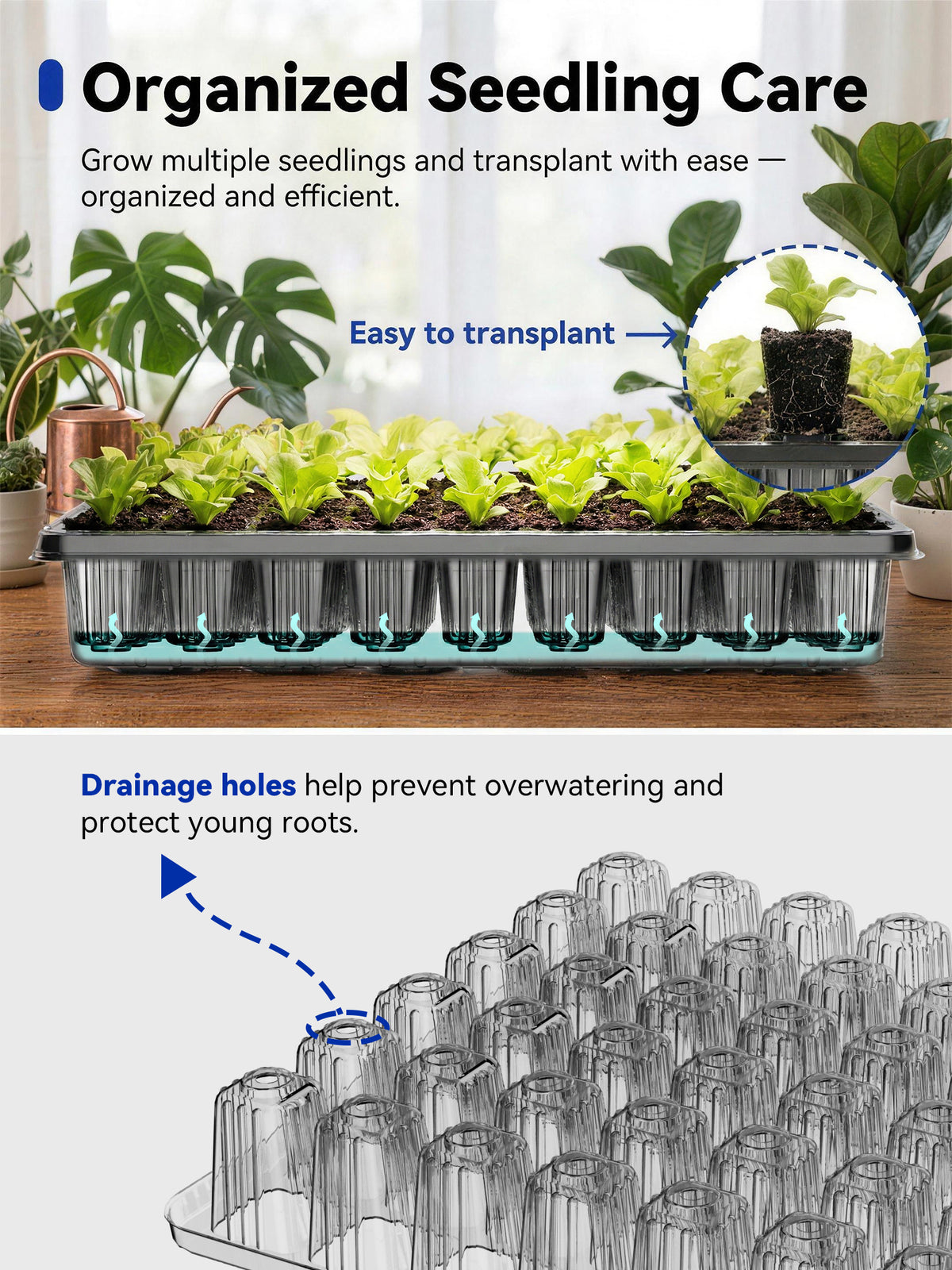 Detailed structure of Glowrium G9 seed starter kit cells emphasizing drainage holes and transplanting