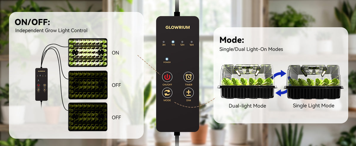 Glowrium G9 in line controller displaying independent lighting modes and timer settings